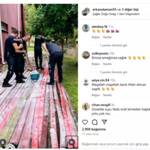 bursadaki orman yanginlari sonrasi temizlik 2LjgkZU5