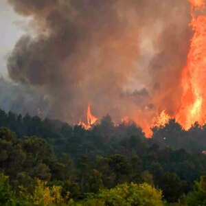 fransada tarihin en buyuk orman yangini 16 bin hektar kule dondu wO8xJljc