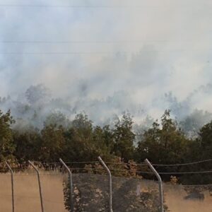 sirnakta ortu yangini cikti 1MTZ17PF