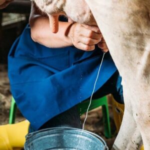 sut ureticileri isyanda litresi 10 liradan veriyoruz bize damlamiyor FMGrYkPB