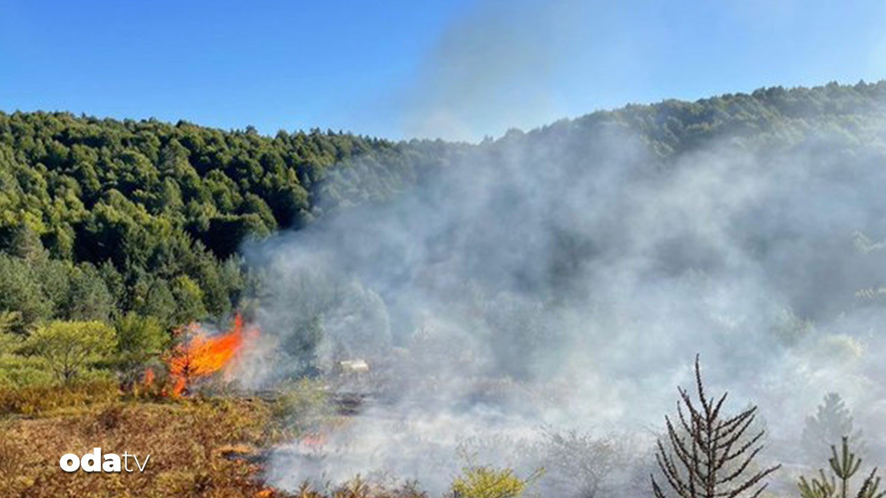 bilecikte orman yangini ePwt1JqA