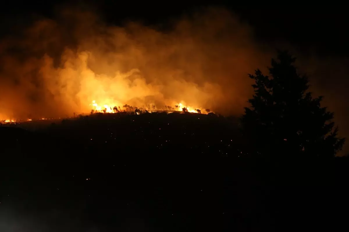 bursada orman yangini kontrol altinda kDMbCgld