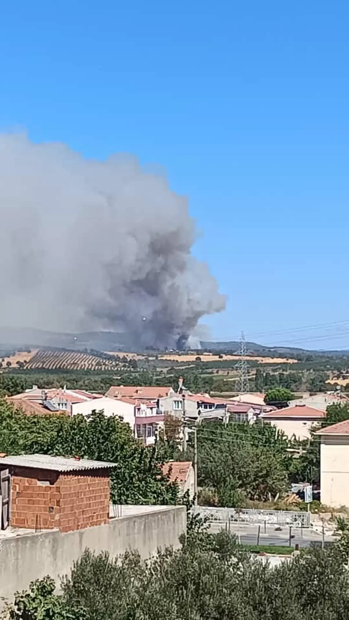 canakkalede orman yangini LSYtwxw5