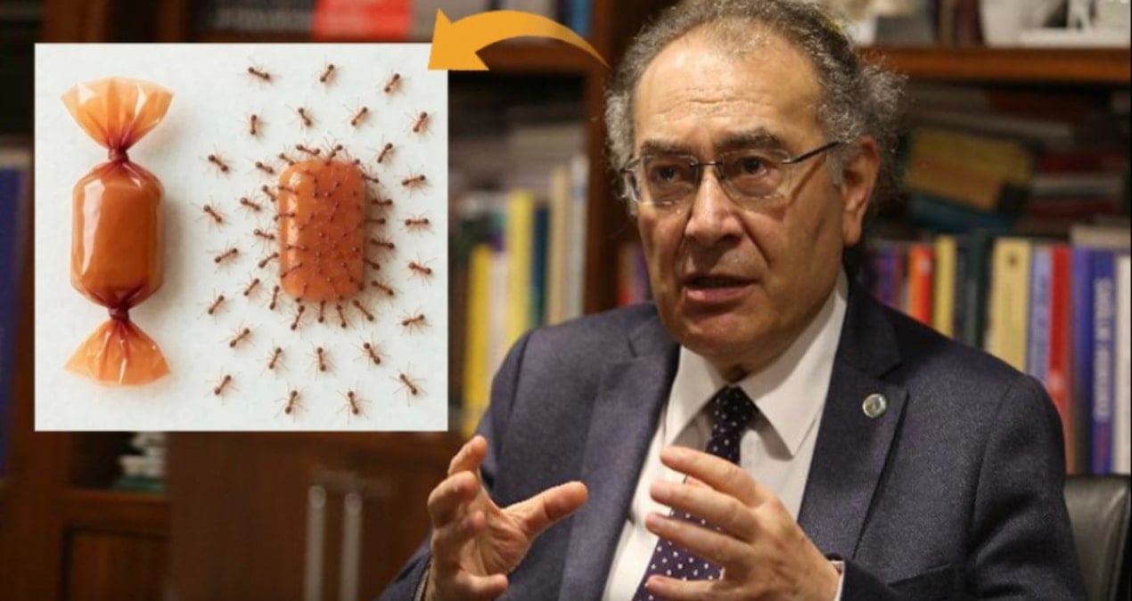 kadinlarin isyani rektore geri adim attirdi OBNVlsFF