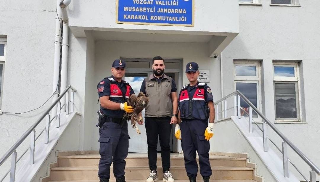 yozgatta yarali bulunan kartal koruma altina alindi iNMvQzKu