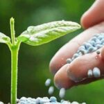 turk-gubre-ureticisi-irandaki-tesislerinde-uretimi-durdurdu-CfqpjZAV