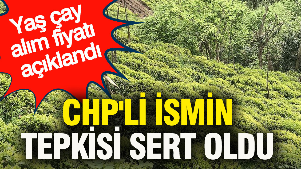 Macaristan’da Hükümet ve Cumhurbaşkanı Arasındaki Gerilim Tırmanıyor