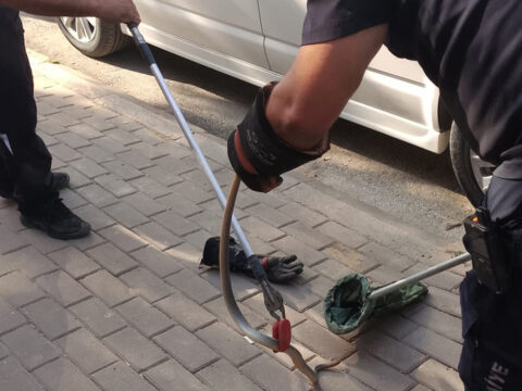 Park halindeki minibuste korkutan anlar motor kismindan cikan sey gorenleri sasirtti 4WLA8WNZ