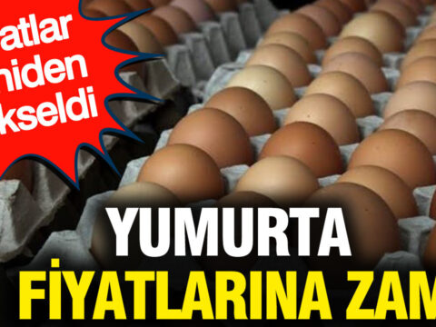 Yumurta fiyatlarina zam fiyatlar yeniden yukseldi ZJnCV5wN
