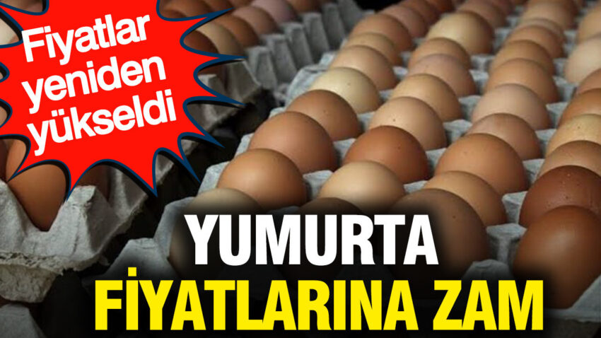 Yumurta fiyatlarina zam fiyatlar yeniden yukseldi ZJnCV5wN